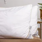 PREMIUM SILK / ПРЕМИАЛЬНЫЙ ШЕЛК 50х70 1 кг Подушка шелковая низкая PC1001