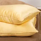 LUXURY SILK GOLD / РОСКОШНЫЙ ШЕЛК ЗОЛОТОЙ 50х70 1,3 кг Подушка шелковая средняя LCP1002