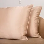 LUXURY SILK SHARM / РОСКОШНЫЙ ШЕЛК ШАРМ 50х70 1,3 кг Подушка шелковая средняя LCP1001