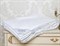 PREMIUM SILK 150х200 500 г Одеяло шелковое летнее DC1012