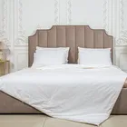 PREMIUM SILK / ПРЕМИАЛЬНЫЙ ШЕЛК 220х240 900 г Одеяло шелковое летнее DC1020