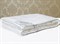 PREMIUM SILK 220х240 900 г Одеяло шелковое летнее DC1020 - фото 189729