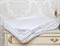 PREMIUM SILK 220х240 900 г Одеяло шелковое летнее DC1020 - фото 189730