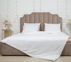 PREMIUM SILK / ПРЕМИАЛЬНЫЙ ШЕЛК 200х220 1700 г Одеяло шелковое зимнее DC1013