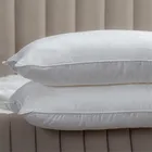 GRACE SILK / ГРЕЙС 50х70 см 0,82 кг Подушка шелковая средняя со съемным чехлом GC1001