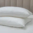 GRACE SILK / ГРЕЙС 50х70 см 0,82 кг Подушка шелковая средняя со съемным чехлом GC1001