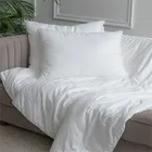 GRACE SILK / ГРЕЙС 50х70 см 1 кг Подушка шелковая средняя со съемным чехлом GC1002