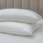 GRACE SILK / ГРЕЙС 50х70 см 1 кг Подушка шелковая средняя со съемным чехлом GC1002