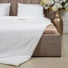 PREMIUM SILK / ПРЕМИАЛЬНЫЙ ШЕЛК 150х210 1350 г Одеяло шелковое зимнее DC1020S