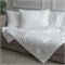 GRACE SILK 140х205 450 г Одеяло шелковое летнее GM1007 GRACE SILK 140х205 450 г Одеяло шелковое летнее GM1007