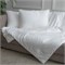 GRACE SILK 150х210 550 г Одеяло шелковое летнее GM1008 GRACE SILK 150х210 550 г Одеяло шелковое летнее GM1008