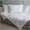 GRACE SILK 150х210 1000 г Одеяло шелковое всесезонное GM1003 GRACE SILK 150х210 1000 г Одеяло шелковое всесезонное GM1003
