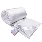 PRIMAVELLE SILVANA 200х220 light Одеяло пуховое облегченное 4690400149223