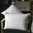 PRIMAVELLE ПЕРЛА 68х68 Подушка пуховая двухкамерная 1195952902-P