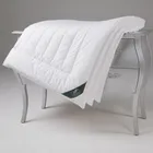 FLAUM FITNESS 200х200 Одеяло стеганое всесезонное GF-53248