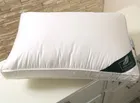 FLAUM SAHNE 50х70 Подушка пуховая средняя DA-17502