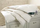 FLAUM SAHNE 200х220 Одеяло пуховое всесезонное DA-17208