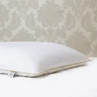 PREMIUM SILK / ПРЕМИАЛЬНЫЙ ШЕЛК 50х70 1 кг Подушка шелковая низкая PC1001