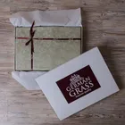 GRASS OLIVE PALETTE / ПАЛЛАДА Постельное белье семейное G-OL3150