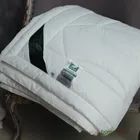 FLAUM AKTIV 150х200 Одеяло стеганое легкое GA-54157